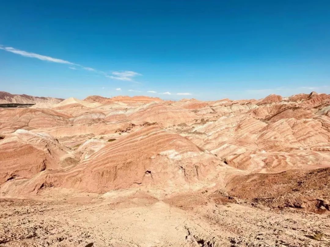 我們·清風|不負夏日，快樂出游